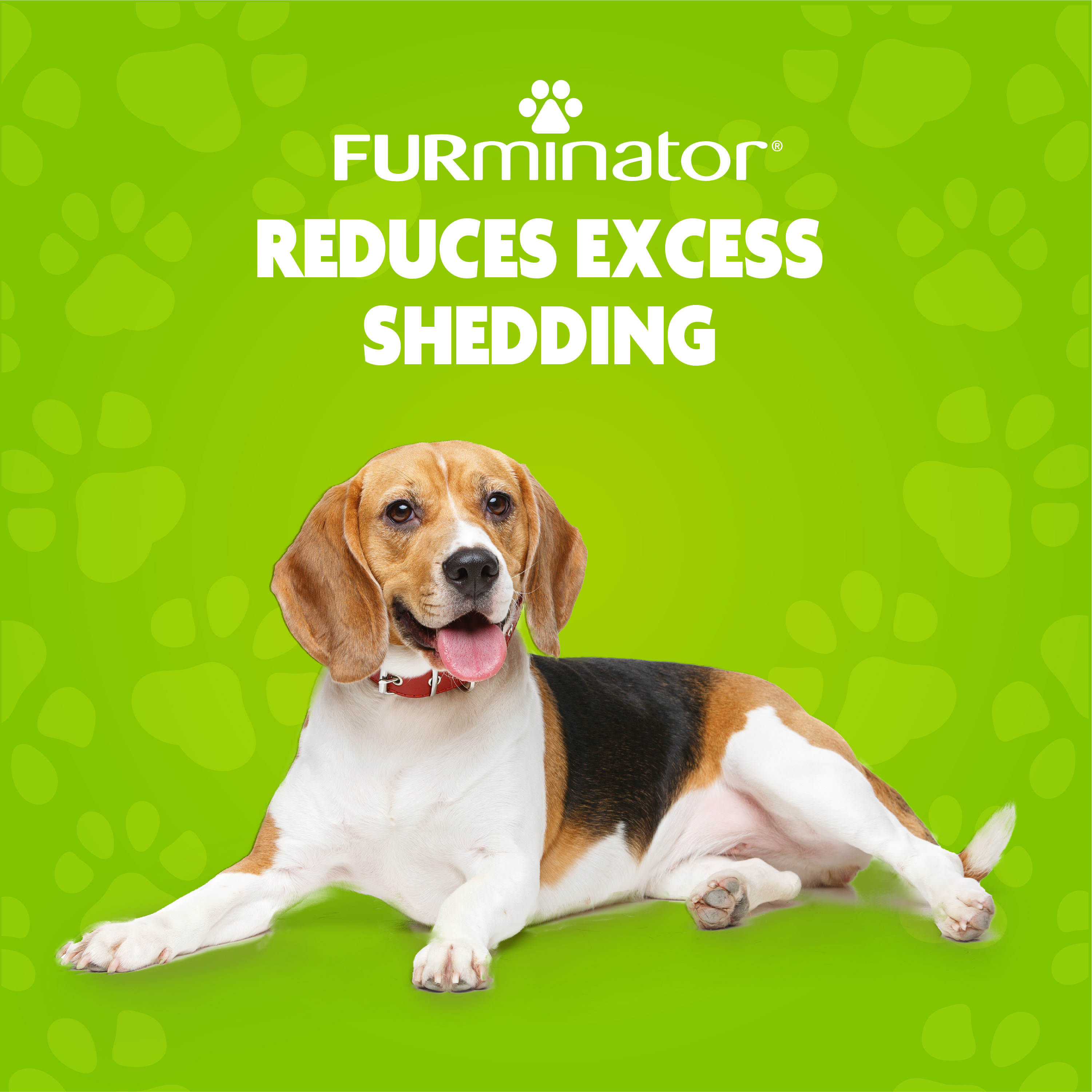 Furminator beagle brush cheap